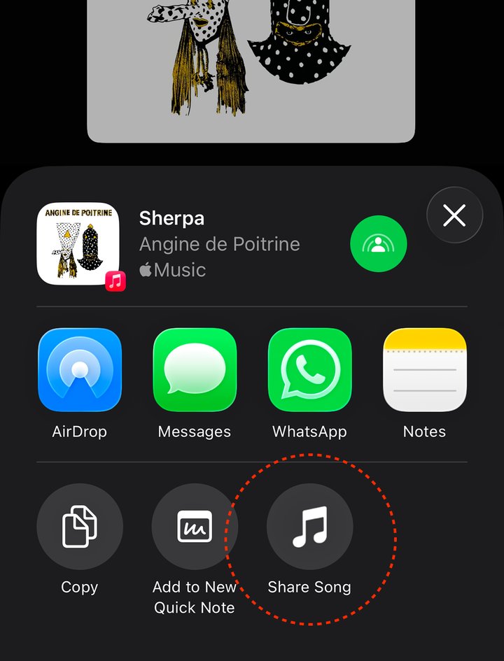 Share Song appearing in the iPhone Share Sheet